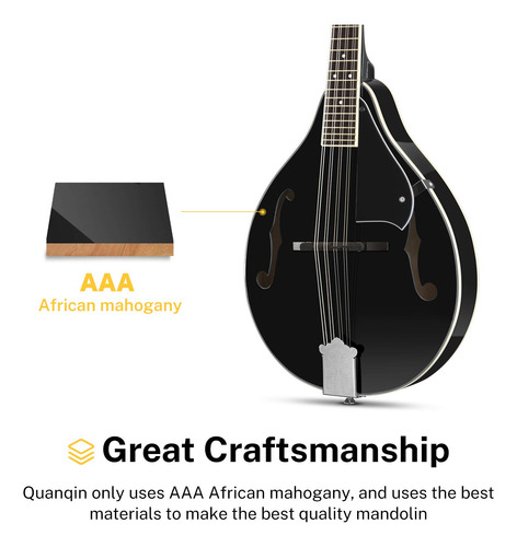 Mandolin Donner A Style Dml-100b Acoustic Mahogany 8 String