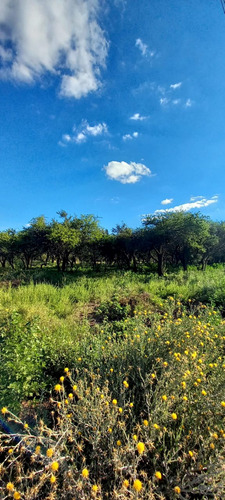 Terrenos En Cabildo-jujuy-catamarca-saavedra, Toay