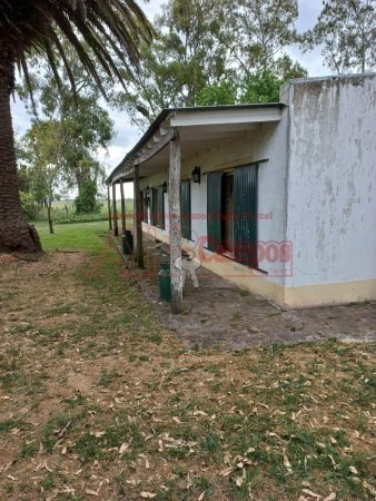 Imagen 23 de 30 de Venta De Campo De 21 Has Entre Jeppener Y Ranchos