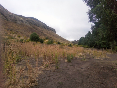 Imagen 2 de 7 de Fida Patagonia. Terreno En Venta De 33000m2 Ubicado En San Martin De Los Andes