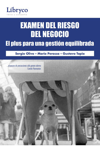 Examen Del Riesgo Del Negocio - Sergio Olivo
