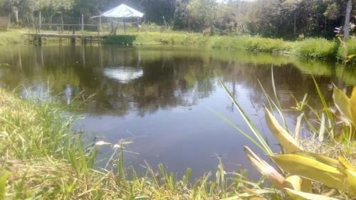Imagem 2 de 11 de Chácara Na Praia! Com Área De 10mil M². Galinheiro, Tanque