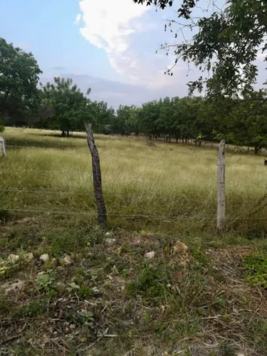 Lote En Venta En Vereda Guabinal. Cod V9151