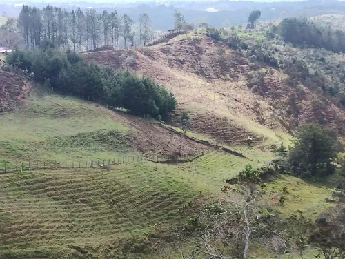 Finca En Guarne Ovejas