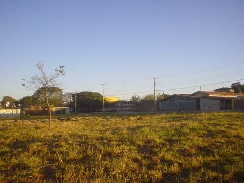 Imagem 6 de 10 de Área Comercial Vila Jardim Pompeia - 3520