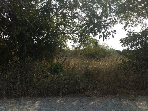 Vendo Terreno 15,000 M² Juana Moza Tuxpan Veracruz