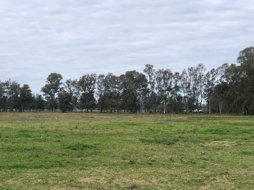 Loteo La Eugenia By Moradas Venta De Lotes Con Amplia Financiacion En Ezeiza