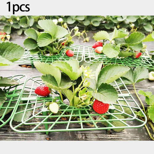 10 Soportes Para Plantas De Fresa, Kit De De Fresas Para