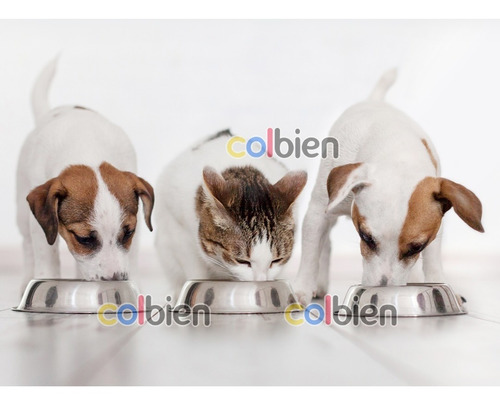 Comedero Acero Inoxidable Pequeño 18 Cm Mascotas Perro Gato