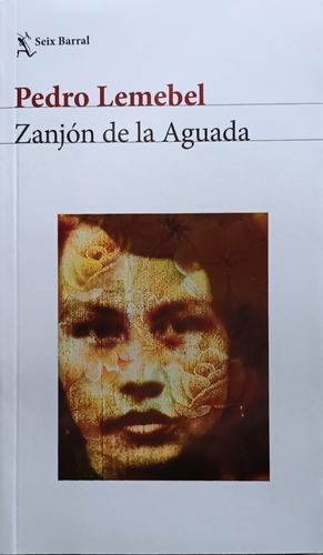 Zanjón De La Aguada.