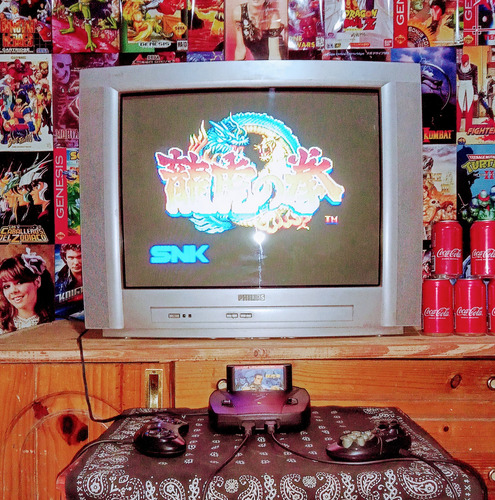 Cartucho De Sega Art Of Fighting