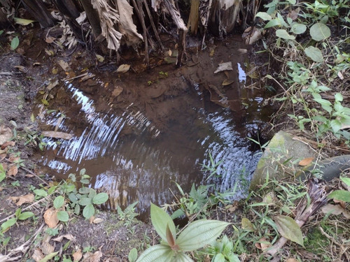 Imagem 6 de 14 de Chácara Em Rio Grande Da Serra