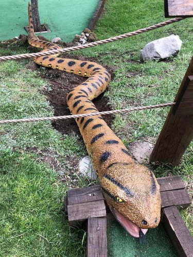 Animales Disecados 100% Artificiales VĂbora Anaconda