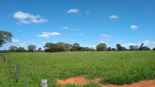 Imagem 25 de 30 de Fazenda De Pecuária E Agricultura 620 Hectares Curvelo Mg - 7557