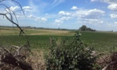 Imagen 9 de 14 de Venta Campo Bragado 160 Has