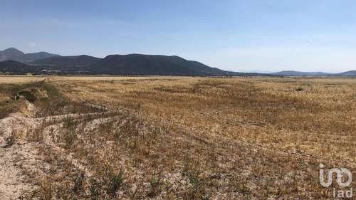 Venta Terreno 0 Ambiente Platah Plataforma Logística Del Estado De Hidalgo