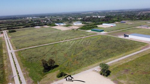 Imagen 2 de 13 de Lote Industrial, Parque Polo Spegazzini
