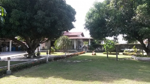 Imagem 8 de 21 de Imóveis Rurais 4 Quartos Aracaju - Se - Mosqueiro - 0449