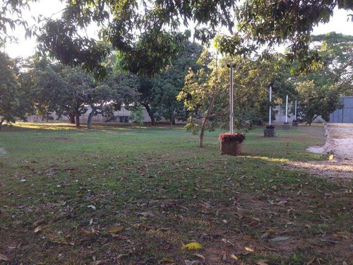 Imagen 12 de 12 de Frances Mijares Vende Finca Terreno Propio En Taguanes Tinaquillo Cód 163349