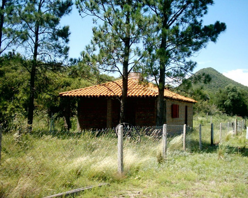Imagen 19 de 29 de Campo 432 Hectáreas , En Los Cerros, Córdoba. Recibo Pesos.
