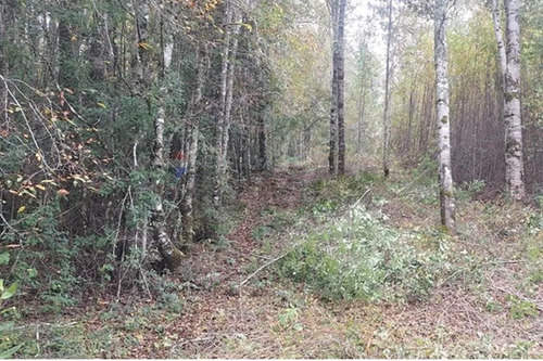 Venta De Terreno En Caburgua