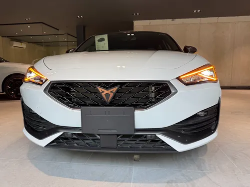 Cupra Leon 300Hp