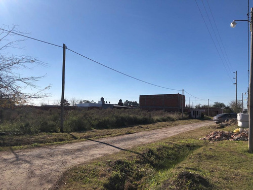 Imagen 1 de 5 de Terreno - Los Hornos - 300 M2