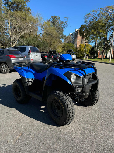 Kawasaki Atv Brute Force 300