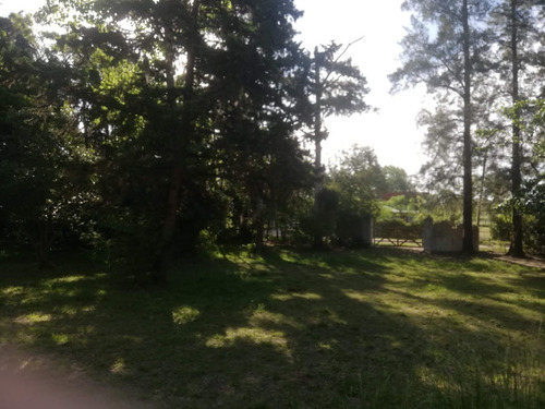 Quinta Casa Terreno 2800 M2, 1372 E/1327 Y 1319, Villa San Luis, Florencio Varela