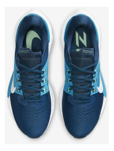Nike Air Zoom Vomero 15 Masculino Adultos