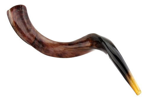 Judaica Mega Mall Shofar Ys (kudu Cuerno - Este Instrumento 