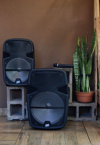 Parlante 12 Portatil Bateria Bluetooth Potencia 2000w Radio Inalambrico Y 220v Luces Led+ Microfono + Calidad De Sonido