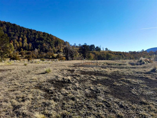 Terreno 5.000 M2 Sector Alto Centinela Orilla De Río Cautín