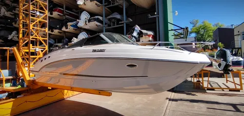 Canestrari 225 Cuddy Volvo Penta 280 Hp V6 Duoprop