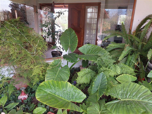 Parcela En Venta De 5.000 Mts Con 2 Casas Calera De Tango