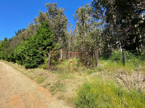 Parcela 5000m2, Cutipay Alto Lado Cementerio Niebla Valdivia