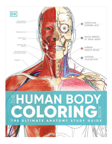 Libro: El Libro Para Colorear Del Cuerpo Humano: La Anatomía