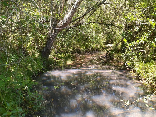 Imagen 13 de 20 de Chacras Financiadas En Aiguá - Maldonado