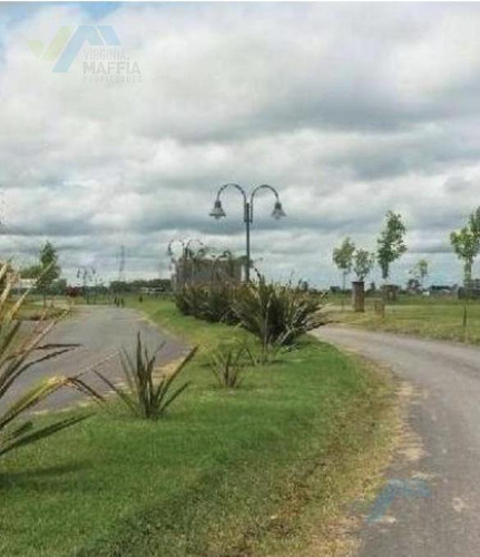 Imagen 17 de 20 de Venta De Terreno En Santa Isabel