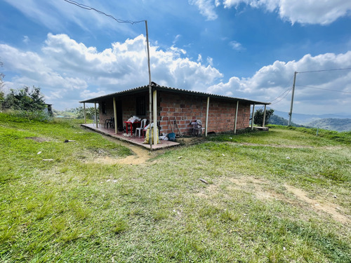 Vendo Finca Lechera En Santo Domingo, Antioquia