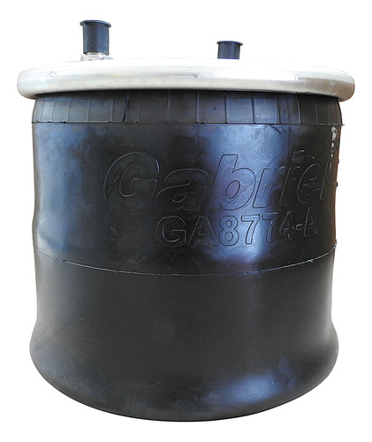 Bolsa Aire Ga8774 = 1r14172 65593 W013588774 As8774 As8745