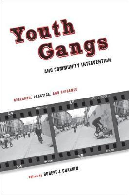 Libro Youth Gangs And Community Intervention : Research, ...