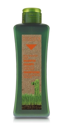Salerm Biokera Shampoo Tratados Protección Del Color 1000ml.