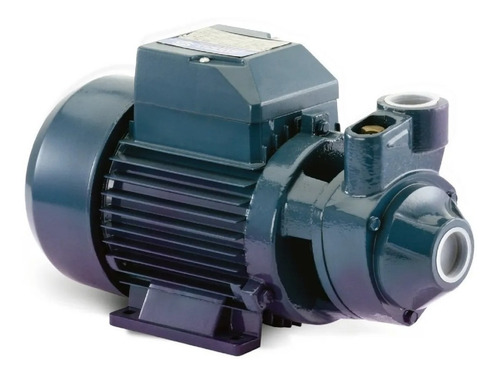 Imagen 1 de 7 de Bomba Periférica 3/4 Hp Elevadora Agua 42 Mts Pluvius Qb70