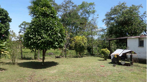 34 Hectareas En Venta En Acacias Meta, Suburbano