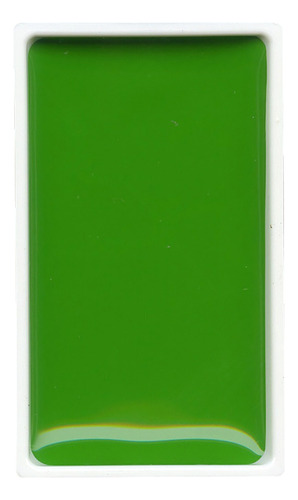 Acuarela Kuretake Gansai Tambi Pastilla X Unidad Color 51 Sap Green Light