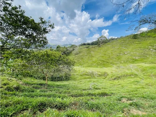 Se Vende Finca De 7 Hectáreas En San Roque, Antioquia