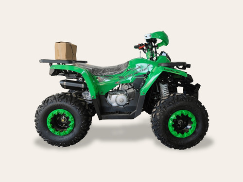 Imagen 2 de 20 de Cuatrimoto Tao Motor Shark 125