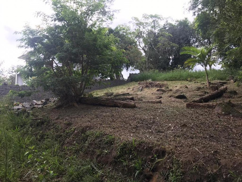 Terreno Padrão Em Garopaba - Sc - Te0790_itajai