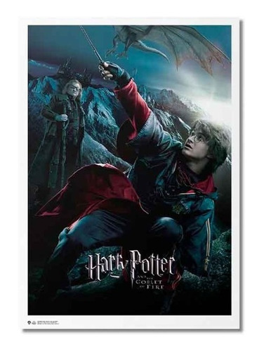 Poster Harry Potter And The Goblet Of Fire Cáliz De Fuego